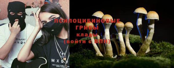 трава Алзамай