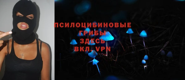 бошки Алексеевка