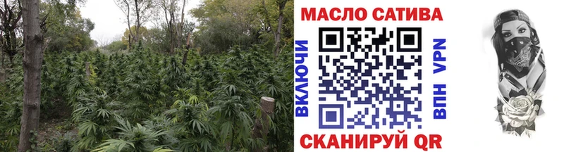 где продают наркотики Полярные Зори Дистиллят ТГК концентрат